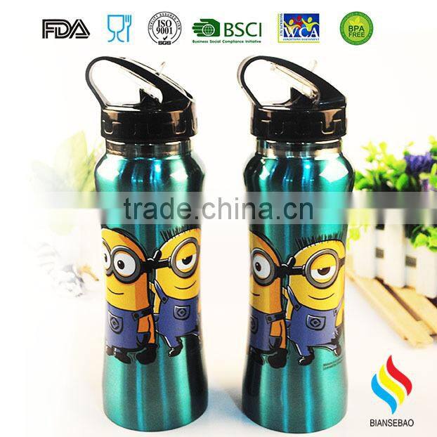 Stainless Steel Water Bottle
