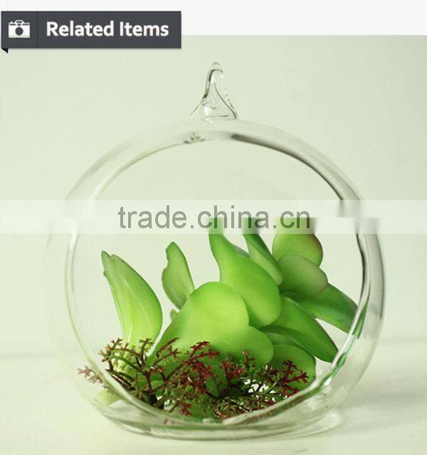 New home decor succulent art craft mini terrarium succulent plant