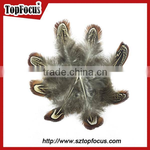 lower price natural synthetic pheasant feathers for carnival costumes