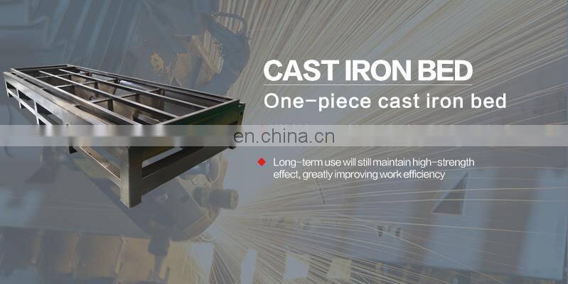 High technology TPF-2060 fiber laser metal cutting machine with economic price