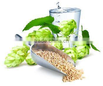 BREWER'S YEAST AND SULFUR - En'jee