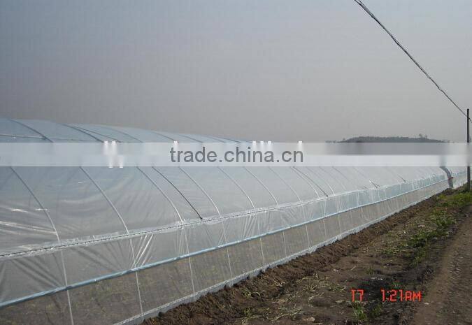 tomato plastic high tunnel greenhouse