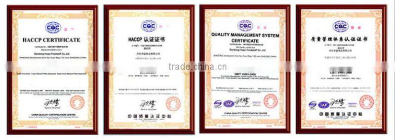 best quality frozen fresh yellow peach at low price