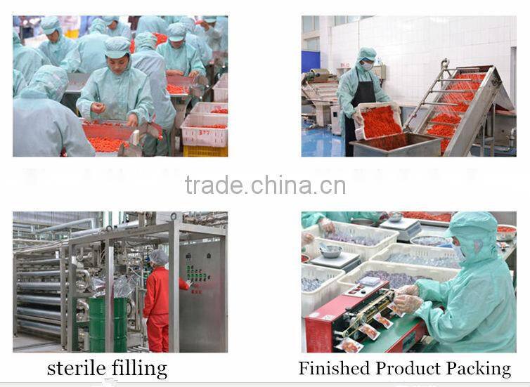 2014 New ningxia dryed goji berry Organic ningxia goji berry