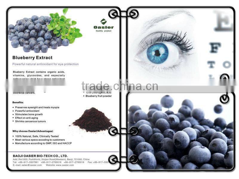 Natural GMP hot sale 10%-25% Anthocyanidin 15%chlorogenic Blueberry Extract