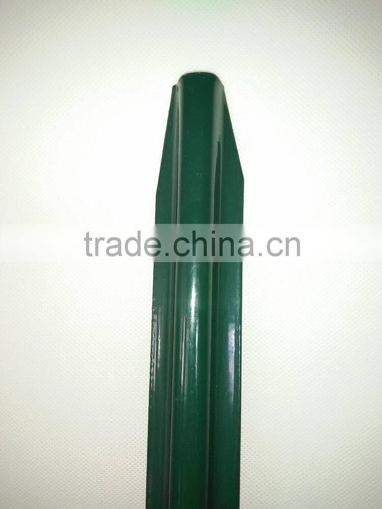 Galvanized steel vineyard post/fence posts for sale