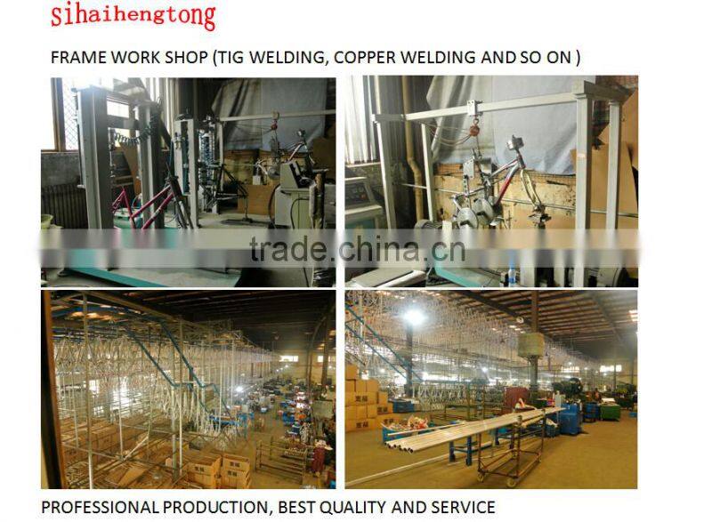 12" mini folding bike/pocket bike for lady from China