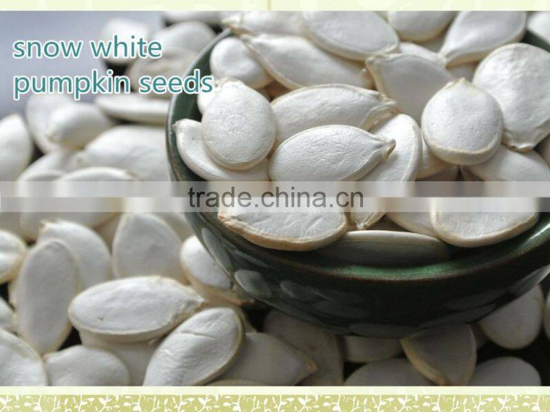 Snow White Pumpkin Seeds New Products On China Market Price