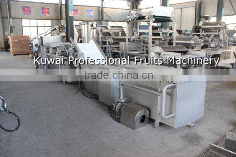 FXJ Model claw turning type herbs cleaner(Industrial vegetable washer)