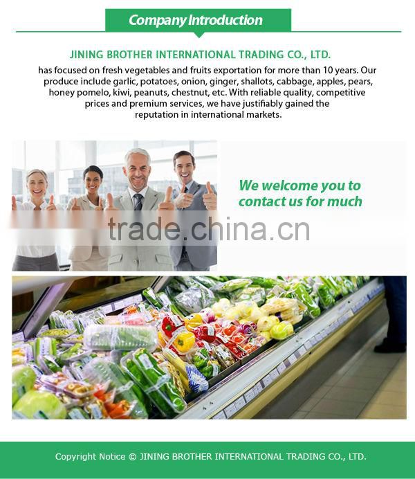 Chestnut/Fresh chestnut/ Chestnut wholesale