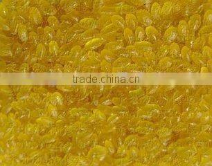 Nutritional /artificial gold rice processing line