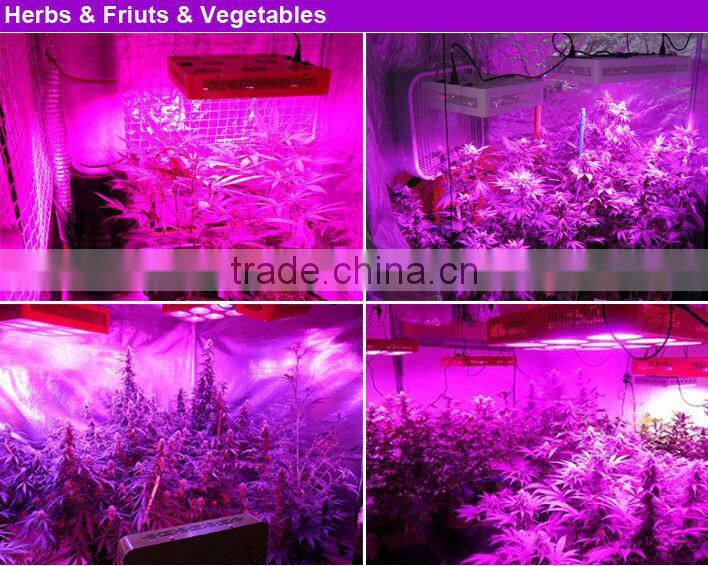 Apollo 9x75w hydroponics equipment garden led light