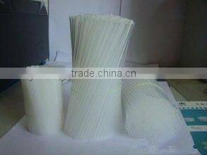 Plastic Swab Stick Extruder Machine/Extruder Machine