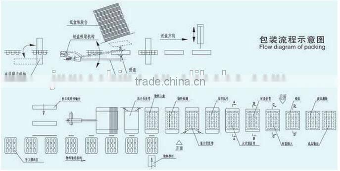 automatic capsule soap tube cartoning machine
