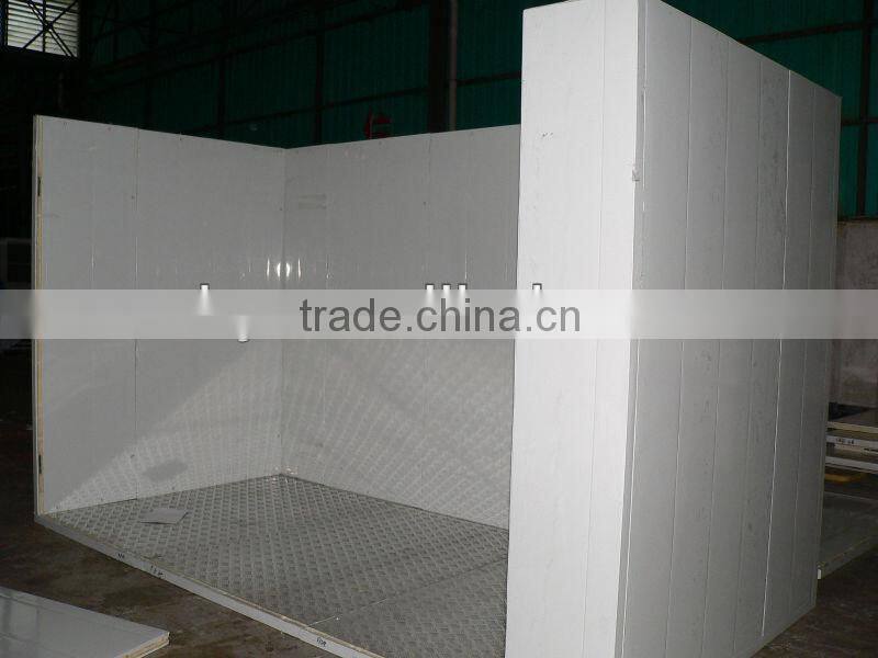 Energy-Saving Storage PU Cold Room for Fruites