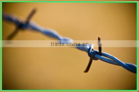 barbed iron wire