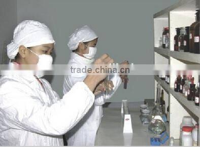 Plaster of pairs bandage POP bandage