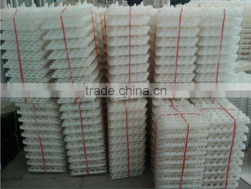 Transport Cages for Chicken