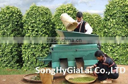 BLACK PEPPER 550GR/L CLEANED