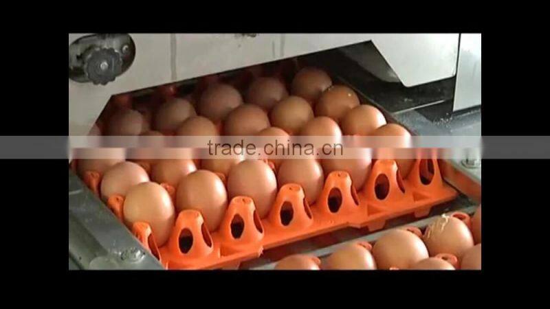 VIET NAM BROWN CHICKEN EGGS