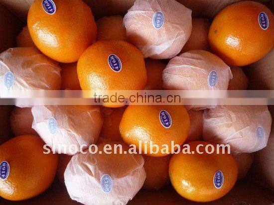 Buy Navel Oranges