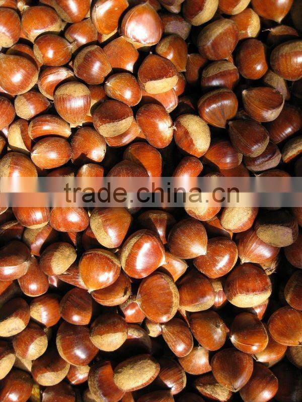 2015 good price of peeled chestnut packing with vaucum bag in china