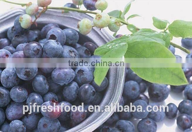 2015 IQF Frozen Blueberry Frozen Fruit Supplier