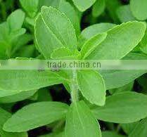 2015 High Purity Stevia Reb-A98%