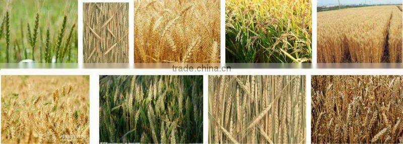 Corn and Maize Threshing Machine with Low Price|Small Sweet Corn Thresher and Huller