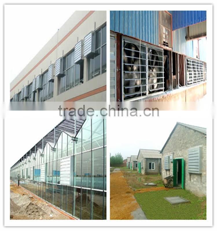 farm drafty fan for poultry chicken house /greenhouse