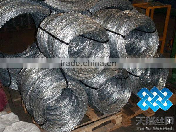 Razor barbed wire / Hot dip Galvanized razor barbed wire