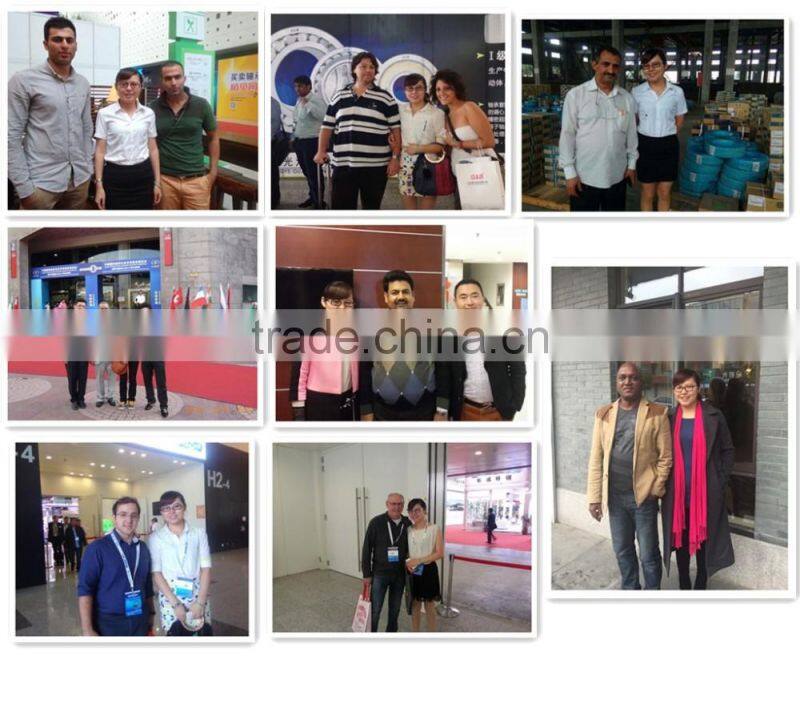 Self-aligning ball bearing 1207 for precision instruments