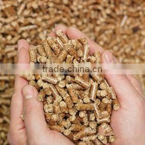 CSPL 2016 ECO 2t/h complete wood pellet production making line wood pellet machinery line wood pellet plant 2ton/h wood pellet