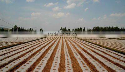 transparent high quality low price agricultural mulch film with holes