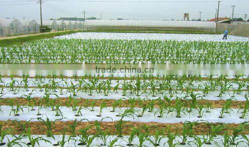 100%Biodegradable plastic mulch film,soil mulching for vegetable garden