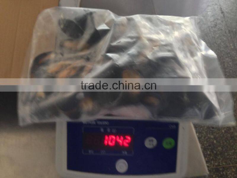 IQF Half shell blue mussel