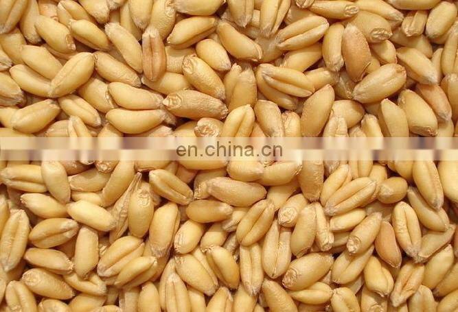 Duck Chicken geese feed crushing mixing machine of maize,rice flour