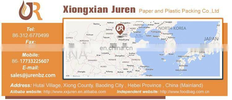 Custom Printing Flexible Facial Mask Packaging Bag