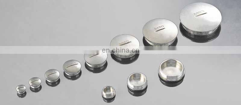 High Quality Nickel Plated Brass Metal Screw Hole Vent Plug Stop with O-ring