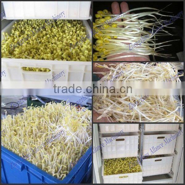 Automatic bean sprout machine / commercial mung bean sprout machine for sale