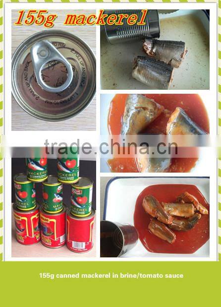 Most popular exporting ingredient fish tin can fish canning plant