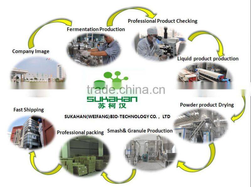 Biological product to solve home pipeline blockage