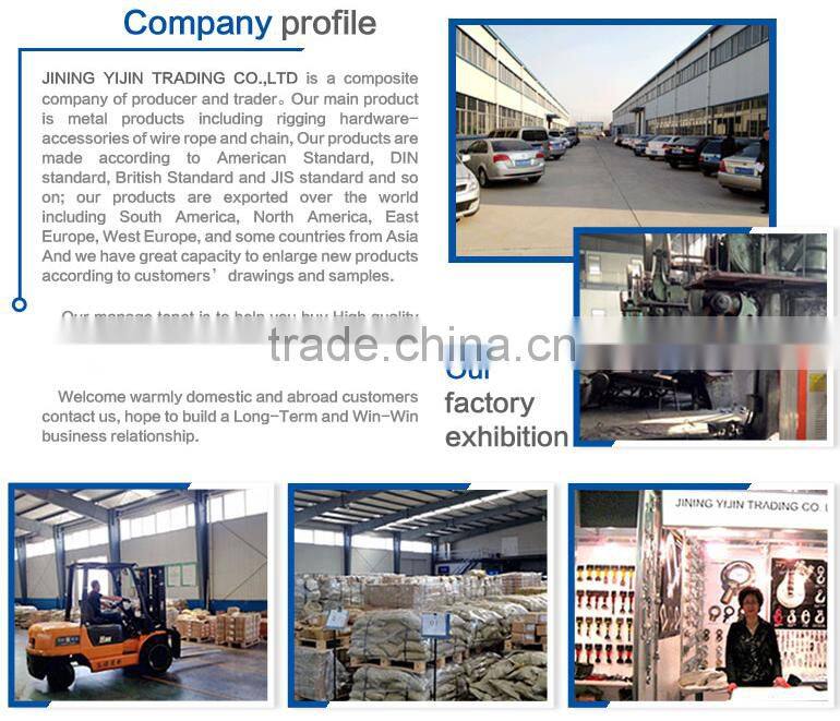 Industrial Use Crane Swivel Hook Price