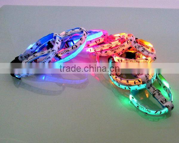 Led Safety Pet Collar and Chain