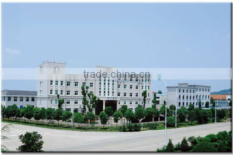 Swimming Pool Lounger