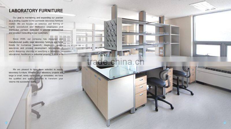 2015 HOT Sale Chemical Laboratory Safety Storage Cabinet