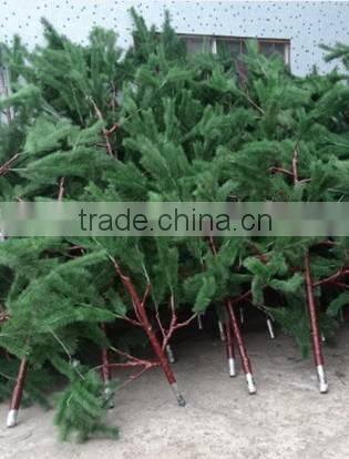 camouflaged pine tree cell phone tower for telecommunication