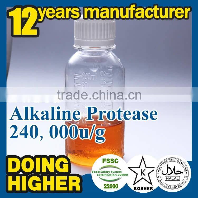 100% high quality protease for detergent factory supply alkaline protease for washing