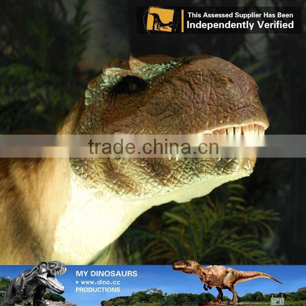 My-dino high quality dinosaur model allosaurus fiberglass dinosaur