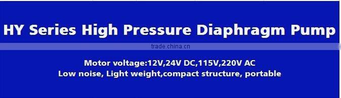 Sailfo high pressure pump /diaphragm pumps for ATV/ATV Spot sprayer pump